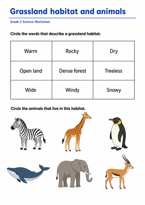Essential Grassland Habitat Worksheet | Grade 2 Ready