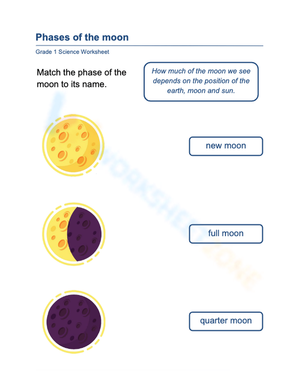 Grade 1: Phases of the Moon Worksheet