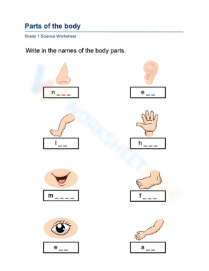 Essential Parts of the Body Worksheet | Grade K Science