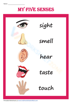 My five senses chart