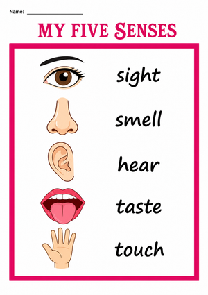 Grade K-2 My Five Senses — Printable Essential Chart