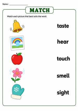 Grade 1 Five Senses — Printable No-Prep Worksheet