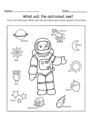 What Will the Astronaut See?