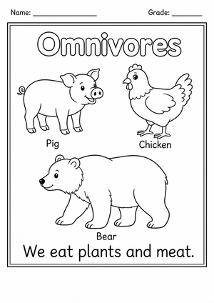 Printable Omnivores Worksheet | Grade 1 Science