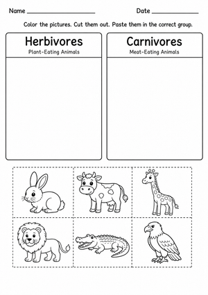 Grade 1 Herbivore vs Carnivore Essential Worksheet