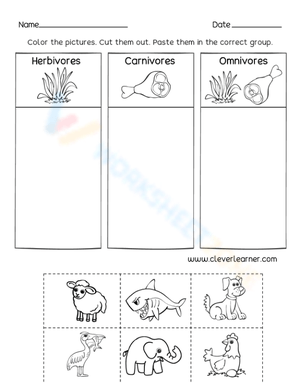 Herbivores, Carnivores or Omnivores?