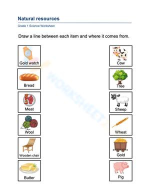 Grade 1 Natural Resources Worksheet