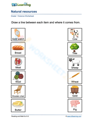 Grade 1 Natural Resources Worksheet