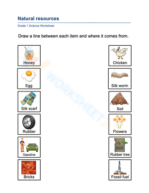 Grade 1 Natural Resources Worksheet 2