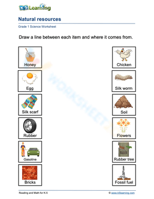 Grade 1 Natural Resources Worksheet 2