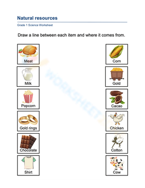 Grade 1 Natural Resources Worksheet 3