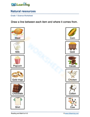 Grade 1 Natural Resources Worksheet 3