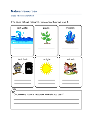 Grade 3 Natural Resources — Printable No-Prep Worksheet