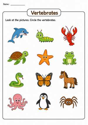Essential Vertebrates Worksheet | Grade 2-4 Printable