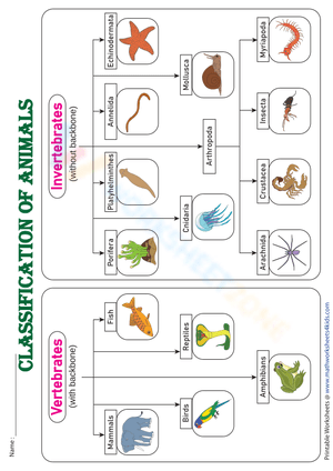 Classification of animals - Chart