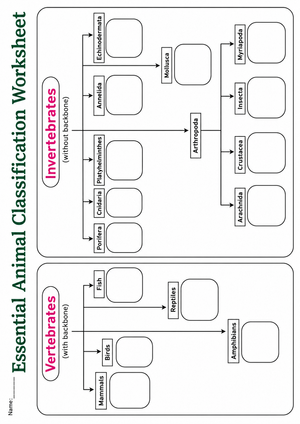 Essential Animal Classification Worksheet | Grades 2-4