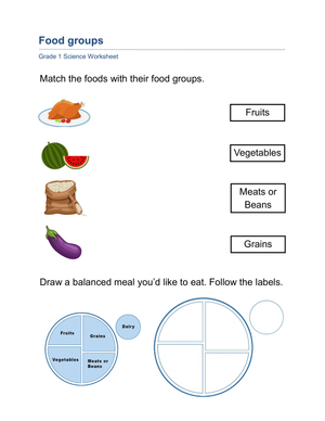 Essential Food Groups Worksheet | Grade 1-3 Science