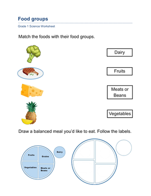 Printable Food Groups Worksheet | Grade 1 Science