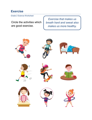 Grade 2 Exercise — Printable No-Prep Worksheet