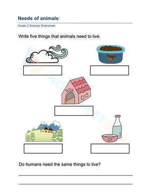 Essential Needs of Animals Worksheet | Grade 1 Science