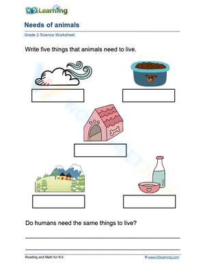 Needs of animals 2