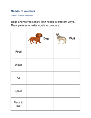 Needs of Animals Worksheet: Dog vs Wolf | Grade 2 Essential