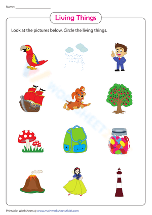 Circle the Living Things Worksheet