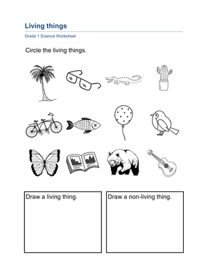 Living Things Worksheet | Grade 1 Essential Science