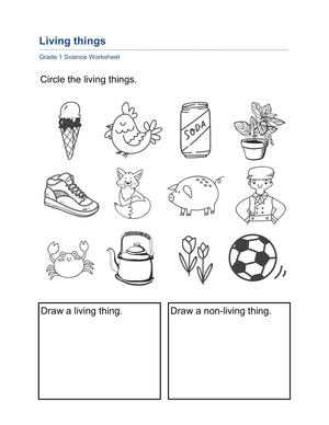 Essential Living and Non-Living Things Worksheet | Grade 1