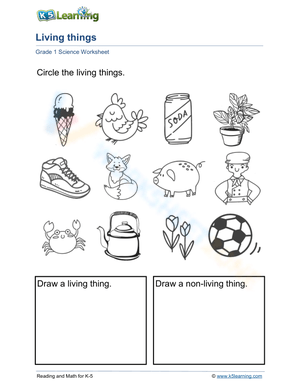 Essential Living and Non-Living Things Worksheet | Grade 1