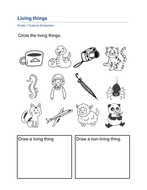 Essential Grade 1 Living and Non-living Things Worksheet