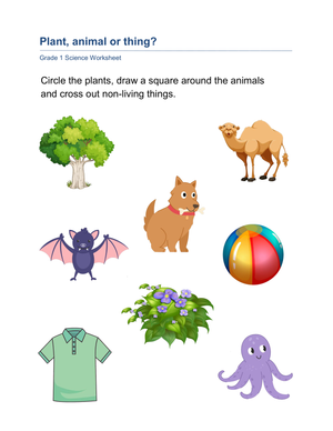 Essential Grade 1 Plants, Animals & Non-Living Things WS