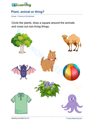 Plants, animals and non-living things 1