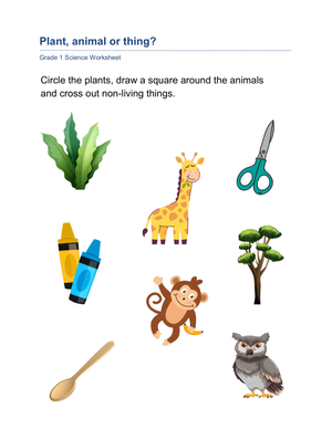 Essential Grade 1 Living and Non-Living Things Worksheet