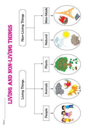 Grade 1 Living and Non-Living Things Chart | Essential Ready