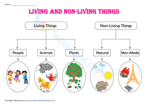 Living and non-living things: Classification chart