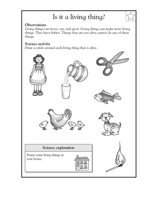 Essential Grade 1 Living Things — No-Prep Science Worksheet