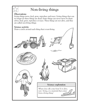 Essential Non-living Things Worksheet | Grade 1-2 Ready
