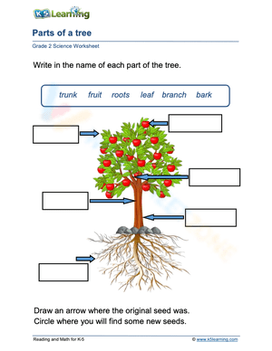 Identify parts of trees