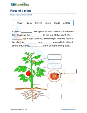 Plant Parts & their Functions 1