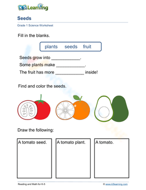 Seeds, Plant and Fruit: tomatoes 