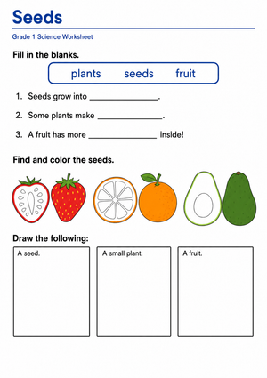 Essential Grade 1 Seeds and Plant Life Cycle Worksheet