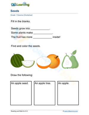 Seeds, Plant and Fruit: apples