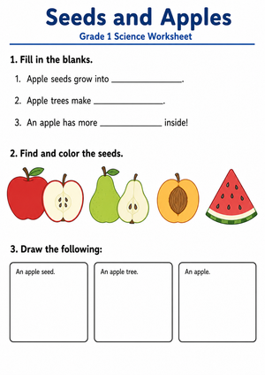 Essential Apple Plant Life Cycle Worksheet | Grade 1