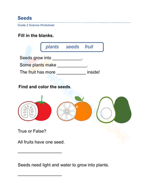 Grade 2 Plant Seeds — Essential Printable No-Prep Worksheet