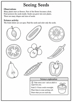 Grade 1 Seeds & Fruit — Printable No-Prep Worksheet