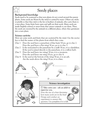 Grade 3 How Seeds Scatter — Printable No-Prep Worksheet