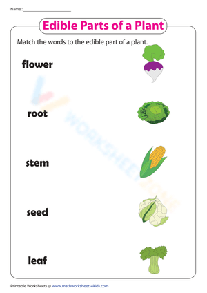 Edible parts of a plant