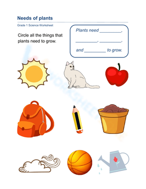 Grade 1 Needs of Plants — Printable No-Prep Worksheet