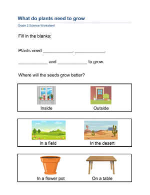 Essential Grade 2 Science: What Plants Need to Grow